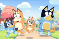 Bluey Scoops
