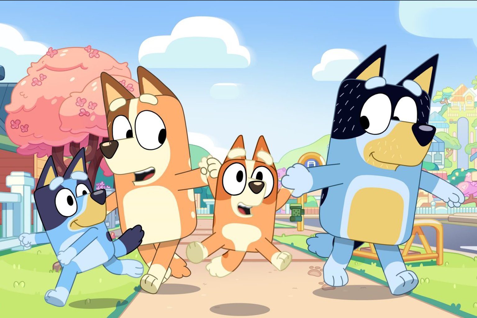 Bluey Scoops