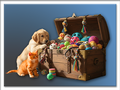 Mystery Treasure Scoops (Male Pets)